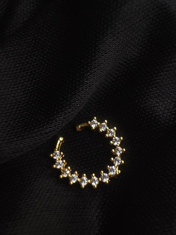 Golden Nose Pin